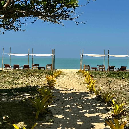 Jocotoka Village - Ponta Do Corumbau Zewnętrze zdjęcie